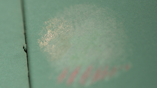 Baseball Marks On The Green Monster